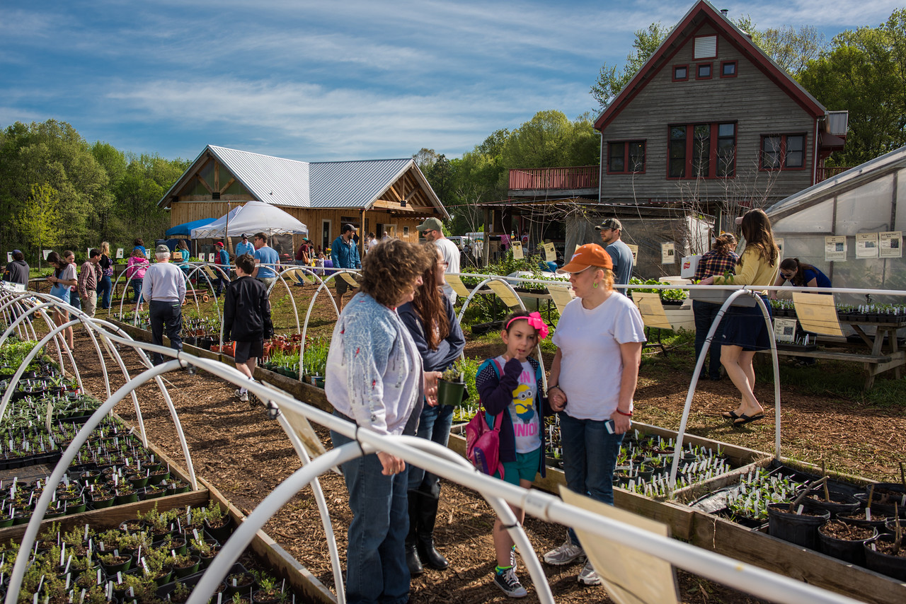 Part 1 of 4: Spring Plant Sale: our thoughts and motivations